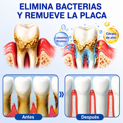 🇩🇪👨‍⚕️🦷✨GarageLine® GumRevive: gel reparador periodontal