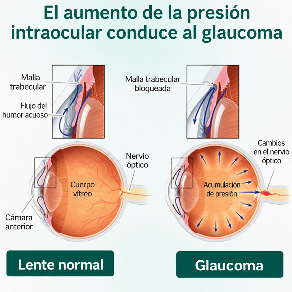 🧑‍⚕️CureVivo® Suero Rodante Ocular Nano Clear Vision – Confort Ocular Profesional y Soporte para la Vista