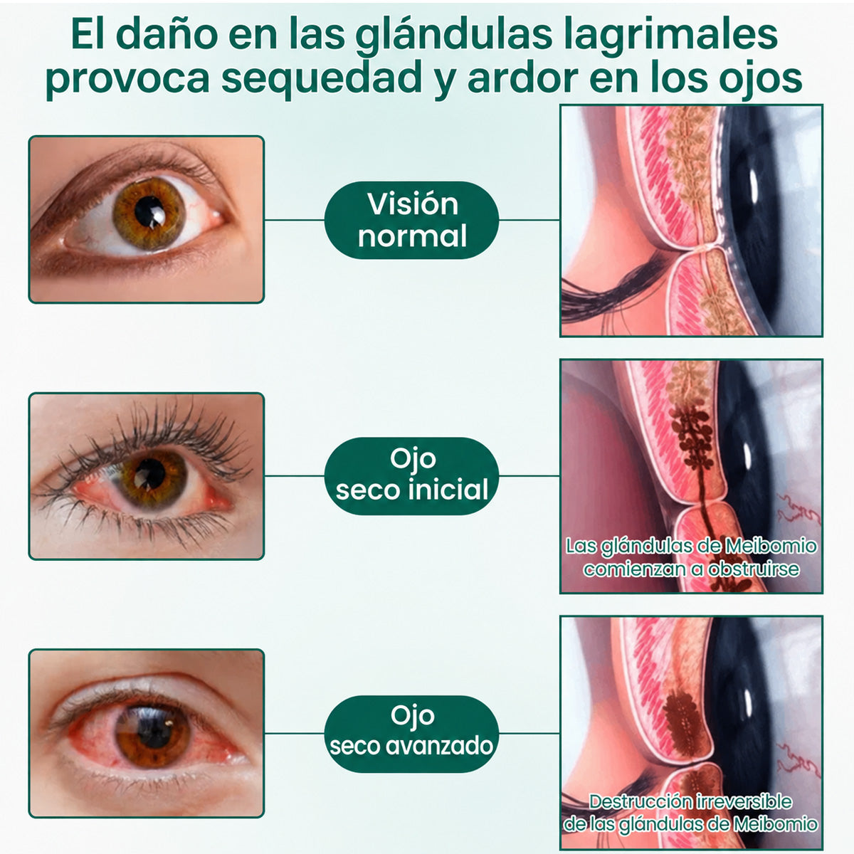 🧑‍⚕️CureVivo® Suero Rodante Ocular Nano Clear Vision – Confort Ocular Profesional y Soporte para la Vista
