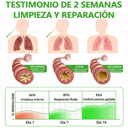 🦚 | Difusor Healrize® con extracto botánico de gordolobo para la limpieza pulmonar 🔥